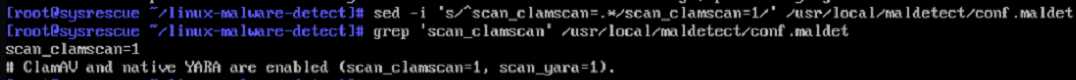 Сканирование на вирусы на Linux-сервере - 9